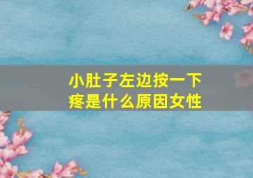 小肚子左边按一下疼是什么原因女性