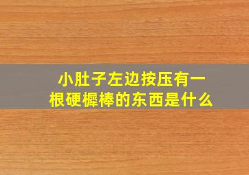 小肚子左边按压有一根硬樨棒的东西是什么