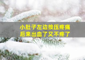 小肚子左边按压疼痛后来出血了又不疼了