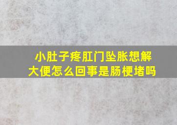 小肚子疼肛门坠胀想解大便怎么回事是肠梗堵吗