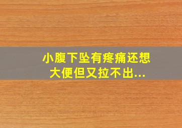 小腹下坠有疼痛还想大便但又拉不出...