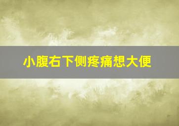 小腹右下侧疼痛想大便