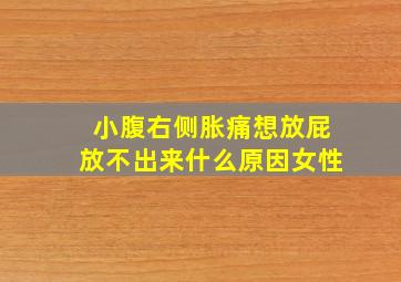 小腹右侧胀痛想放屁放不出来什么原因女性