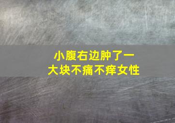 小腹右边肿了一大块不痛不痒女性