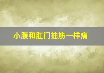 小腹和肛门抽筋一样痛