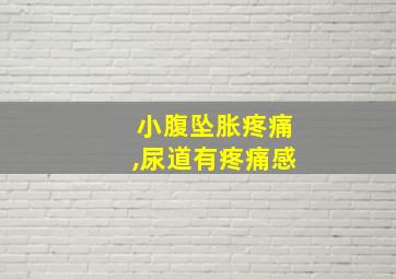 小腹坠胀疼痛,尿道有疼痛感