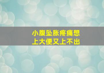 小腹坠胀疼痛想上大便又上不出