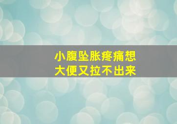 小腹坠胀疼痛想大便又拉不出来