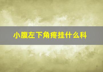 小腹左下角疼挂什么科