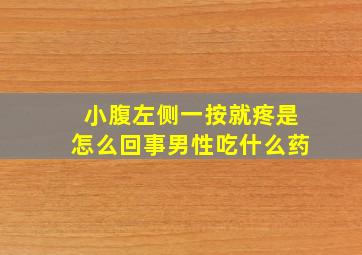 小腹左侧一按就疼是怎么回事男性吃什么药