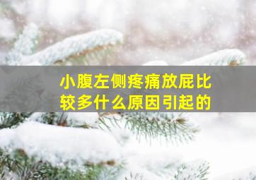 小腹左侧疼痛放屁比较多什么原因引起的