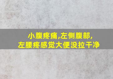 小腹疼痛,左侧腹部,左腰疼感觉大便没拉干净