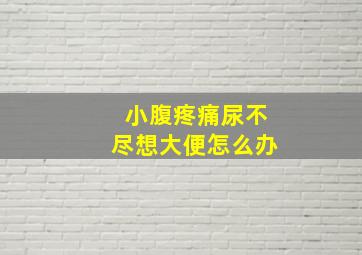 小腹疼痛尿不尽想大便怎么办