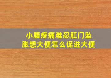 小腹疼痛难忍肛门坠胀想大便怎么促进大便