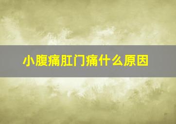 小腹痛肛门痛什么原因