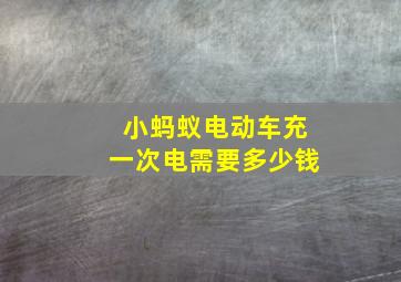 小蚂蚁电动车充一次电需要多少钱