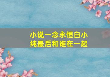 小说一念永恒白小纯最后和谁在一起