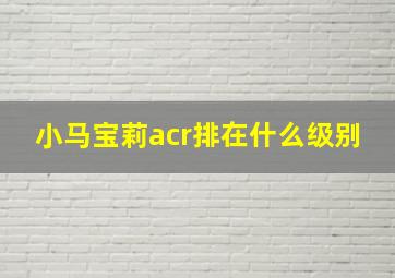 小马宝莉acr排在什么级别