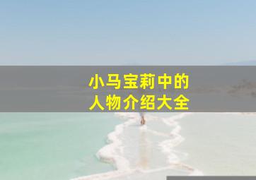 小马宝莉中的人物介绍大全