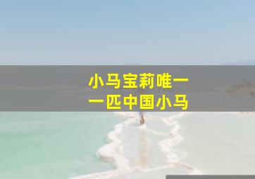 小马宝莉唯一一匹中国小马