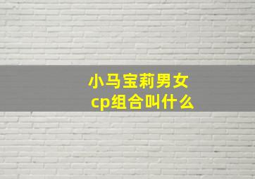 小马宝莉男女cp组合叫什么