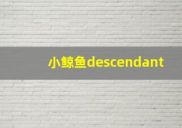 小鲸鱼descendant