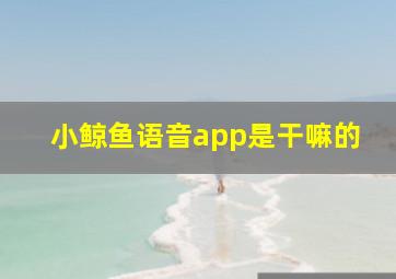 小鲸鱼语音app是干嘛的