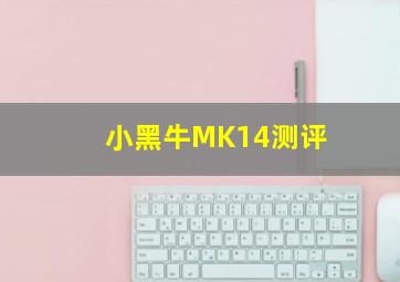 小黑牛MK14测评