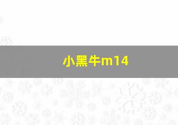 小黑牛m14