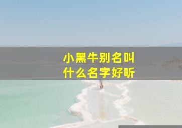 小黑牛别名叫什么名字好听