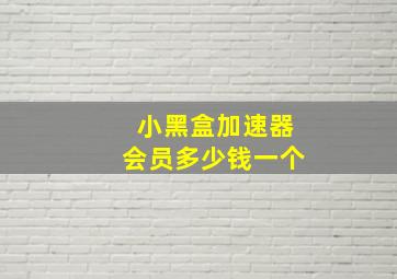 小黑盒加速器会员多少钱一个