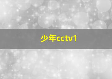 少年cctv1