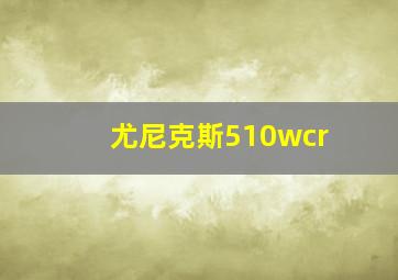 尤尼克斯510wcr