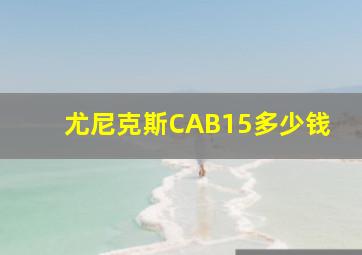 尤尼克斯CAB15多少钱