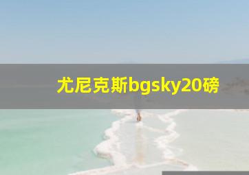 尤尼克斯bgsky20磅