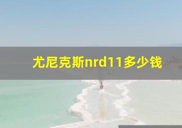 尤尼克斯nrd11多少钱