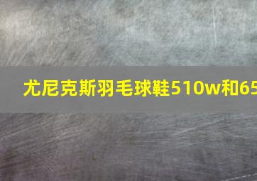 尤尼克斯羽毛球鞋510w和65