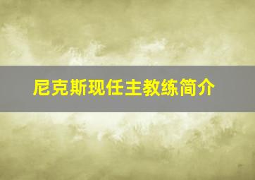 尼克斯现任主教练简介