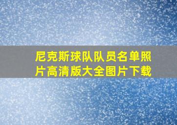 尼克斯球队队员名单照片高清版大全图片下载