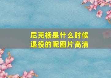 尼克杨是什么时候退役的呢图片高清