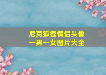 尼克狐狸情侣头像一男一女图片大全