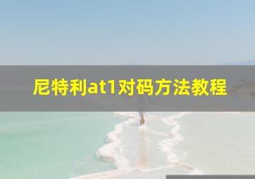 尼特利at1对码方法教程