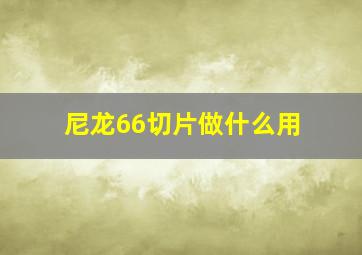 尼龙66切片做什么用