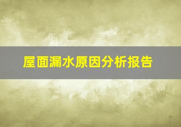 屋面漏水原因分析报告