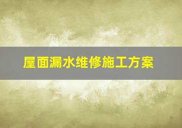 屋面漏水维修施工方案