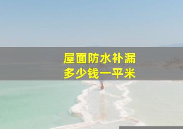 屋面防水补漏多少钱一平米