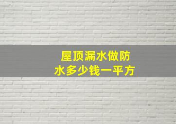 屋顶漏水做防水多少钱一平方