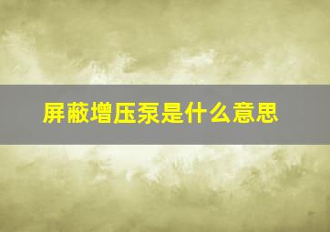 屏蔽增压泵是什么意思