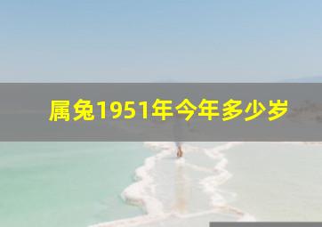 属兔1951年今年多少岁