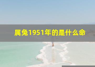 属兔1951年的是什么命